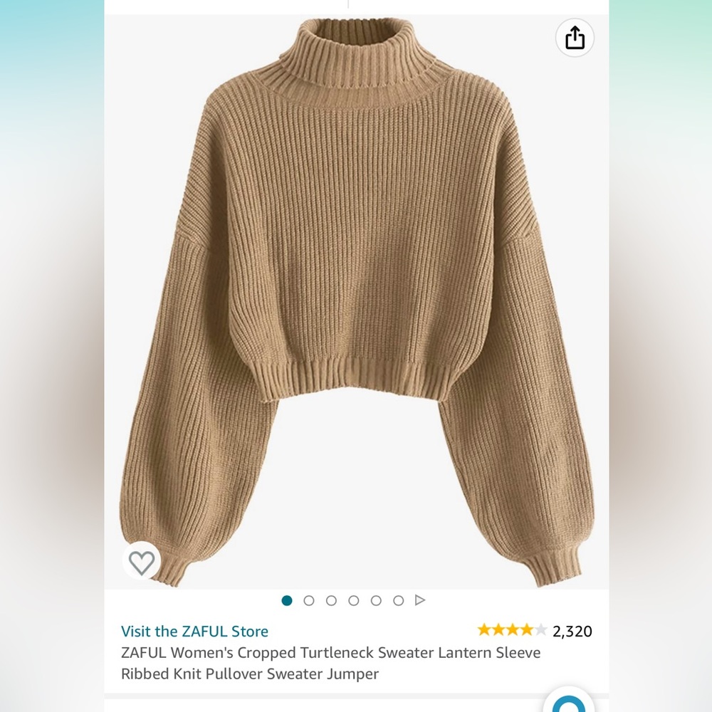 Cropped knit turtleneck sweater
